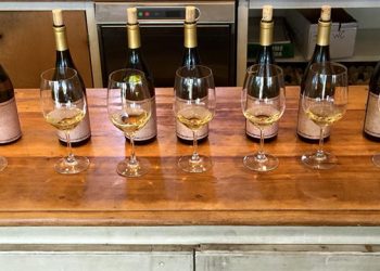 Local Vintners To Explore Long Island Wine Country During Hamptons Lecture Series