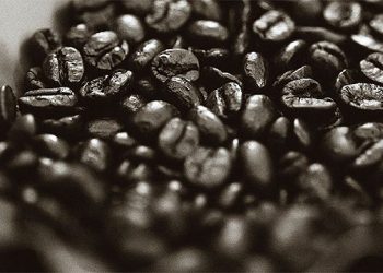 Free Hamptons Lecture To Focus On A Journey With Java