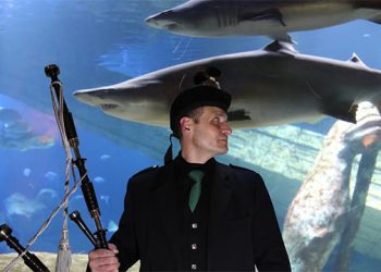 May The Luck Of The Irish Be With You: East End St. Patrick’s Day Parties, Benefits And More