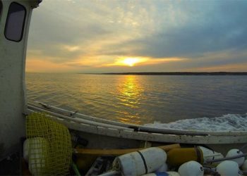 Sea-Themed Hamptons Paint Night Series Supports Back To The Bays