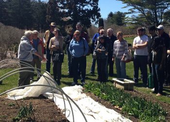 Hamptons-Based Public Garden Wants To Make Having A “Green Thumb” More Manageable