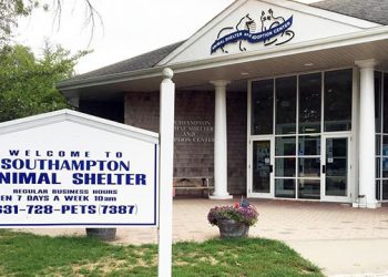 Seasonal “Make-Over” Campaign Supports Spring Cleaning At Hampton Bays-Based Animal Shelter