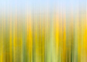 “Spring Preview” Envisions The East End’s Summer Season