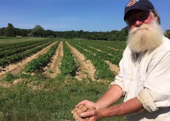 Community Supported Agriculture In The Hamptons: Producing Your Own Produce