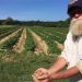 Community Supported Agriculture In The Hamptons: Producing Your Own Produce