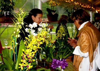 Hamptons Garden Club Presenting Annual Memorial Day Weekend Garden Party And Plant Sale