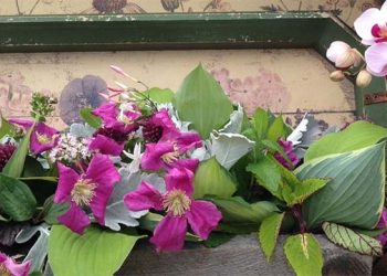 Majestic Sagaponack-Based Conservancy Hosting Annual Much Ado About Madoo