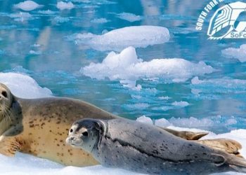 East End Museum To Address Climate Change During Annual Symposium