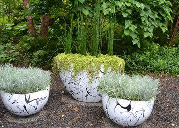 Martha Stewart Presenting People’s Choice Award At LongHouse Reserve’s Planters: On + Off the Ground VIII