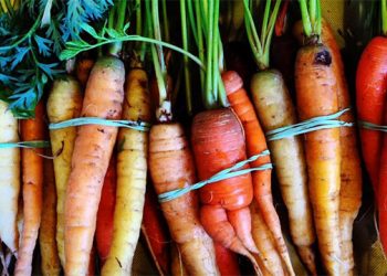 Summer Farm To Fork Gala At Topping Rose House To Support Hamptons Food Pantry Farm