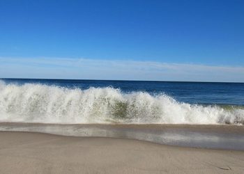 Funding From CfAR’s Upcoming Fundraiser Supporting The Fight For Beach Access