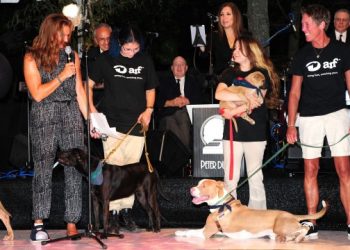 ARF Honoring Katharina Otto-Bernstein During Annual Hamptons Bow Wow Meow Ball