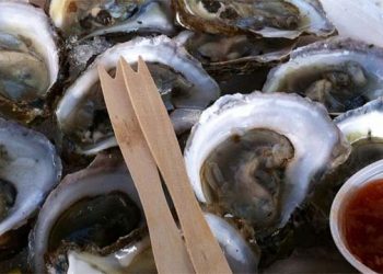 Shucker’s Lobster Bar Hosting Back To The Bays Days In Support Of Cornell Cooperative Extension Marine Program