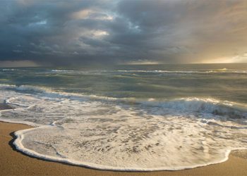 The 8th Annual Westhampton Beach Festival Of The Arts Returns To The Great Lawn This Labor Day Weekend