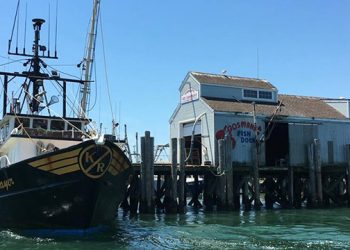 The Evolution Of The Montauk Revolution