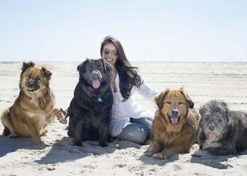 Michelle Neufeld Montak: A Pawsitive Protector For Animals
