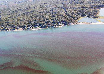 Toxic ‘Rust Tide’ Expands Throughout East End Waters