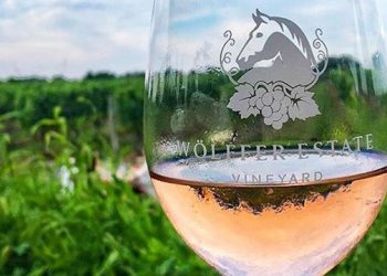 Why Is There Another Rosé Shortage In The Hamptons This Summer?