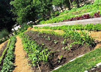 “Gala In The Garden” To Fête Slow Food East End’s Founders