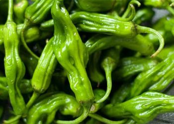 Embrace The Heat During Holiday Weekend Hamptons Workshops