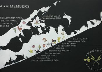 Amagansett Food Institute Presenting A Hamptons Wellness Weekend