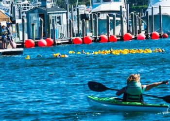 The Great Hamptons Rubber Duckie Race To Bring Fierce Yet Friendly Competition To The East End