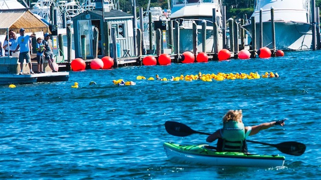 The Great Hamptons Rubber Duckie Race To Bring Fierce Yet Friendly