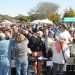 Montauk Chamber Of Commerce To Host 35th Annual Montauk Fall Festival Over Holiday Weekend