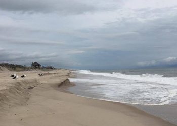 Can A Real Estate Broker Be Entitled To A Commission If The Client Buys A Different Property From The One He Shows The Buyer?