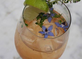 CMEE’s Annual Fall Ladies Night Moves To Zigmund’s