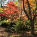 Fall In Love With Fall 2016 During Hamptons Foliage Garden Walk