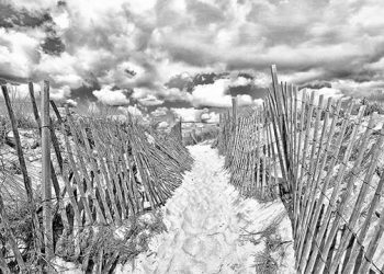 Southampton Artists Association’s Season Ends With Annual Fall Art Show