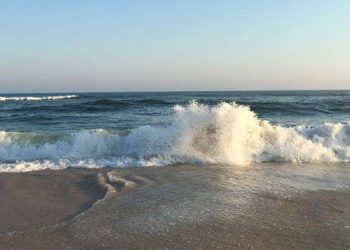 Test Your Knowledge During Local Rotary Club’s Trivia Night