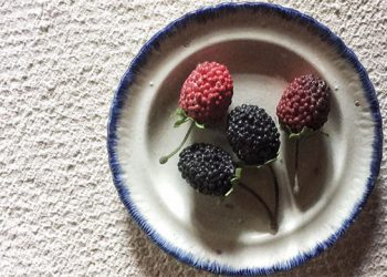 Hamptons-Based Historical Museum Goes Virtual For New Exhibit