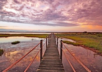 Hamptons-Based Photographer Finds Another Use For Her Artwork