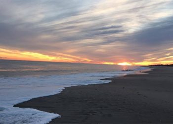 Peconic Bay Community Preservation Fund Down 7.3 Percent From 2015