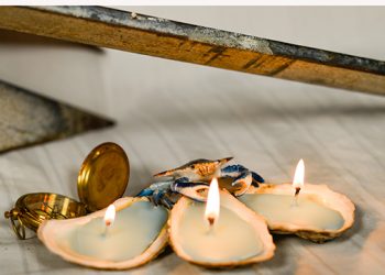 East Hampton-Based Oyster Farm Seeks To Restore And Sustain Local Aquatic Community