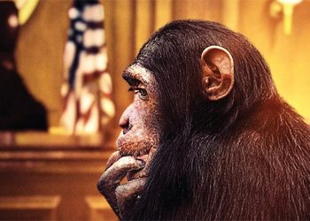 Hamptons Take 2 Documentary Film Festival To Present “All Docs, All Day”