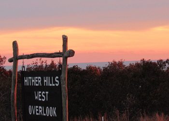 A Look At The Hamptons Real Estate Market And How It Impacts The Community’s Needs