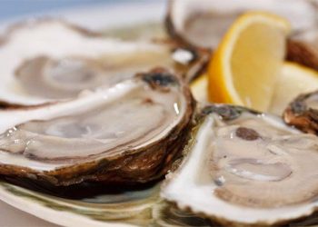 Peconic Pearls Environmental Nitrogen Sampling Project Results To Be Revealed At Bivalvus Day Celebration