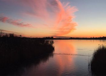 New York To Sue United States Environmental Protection Agency Over Using Long Island Sound As Permanent Disposal Site