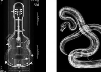 Artist Steve Miller Enlists The X-Ray