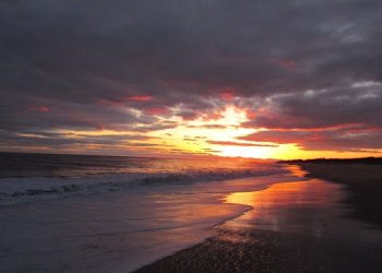 A Farewell And Thank You!