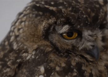 Sara Nightingale Gallery Celebrating Relocation With Grand Opening Exhibition