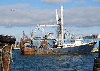 Governor Cuomo Signs Law Establishing State Ocean Acidification Task Force