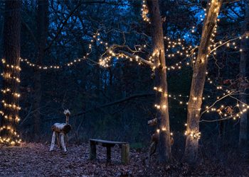 East End-Based Wildlife Refuge To Host Annual Winter Illuminated Nighttime Hike