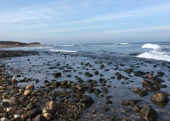 President Of Montauk-Based Environmental Advocacy Organization Stepping Down