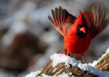 Winter Break In The Hamptons: Workshops, Classes And Camps For All Ages