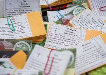 Hampton Bays-Based Library And Non-Profit Organization Team Up For Free Seed Library