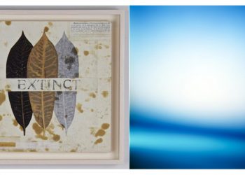 Local Artists Find Their “Sense Of Place” In New Hamptons Exhibit